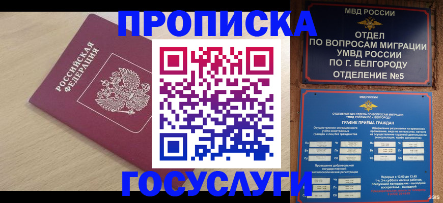 прописка законно в Дигоре